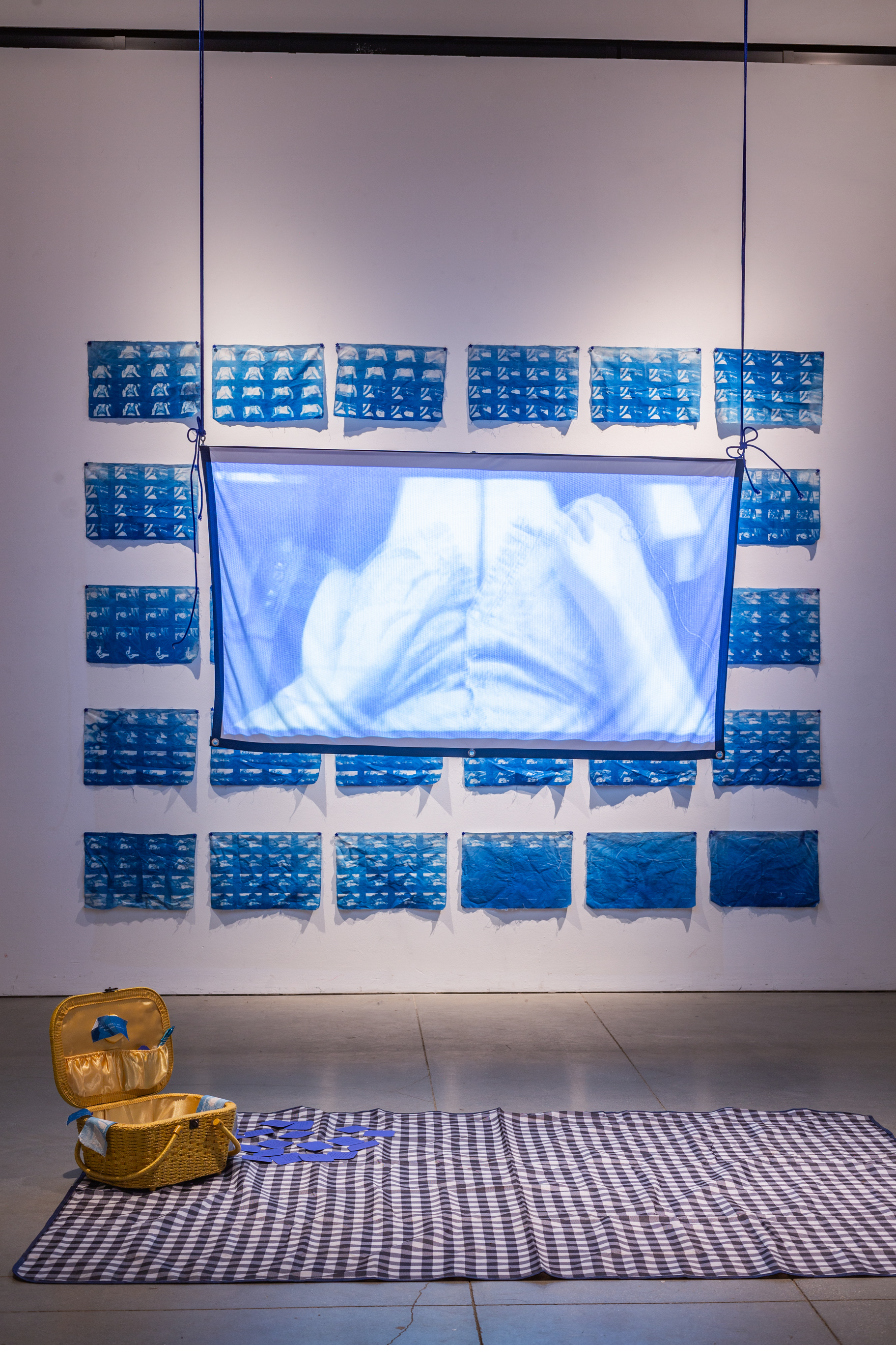 A rug sits on the floor, in the center a projector screen with visuals on it hangs from the air. Behind the screen is a white wall, with printed cyanotypes.